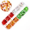 NDi Beauty Ice Mylar Nail Art Sparkly Glitter Silver Laser Maple Leaf - 4 Colors -Best Manicure Store 16828 1 600 58966 85670 15577.1629304759