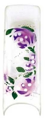 Shooting Star Designer French Tips - DT029